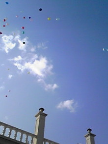 b0200747_0382658.jpg