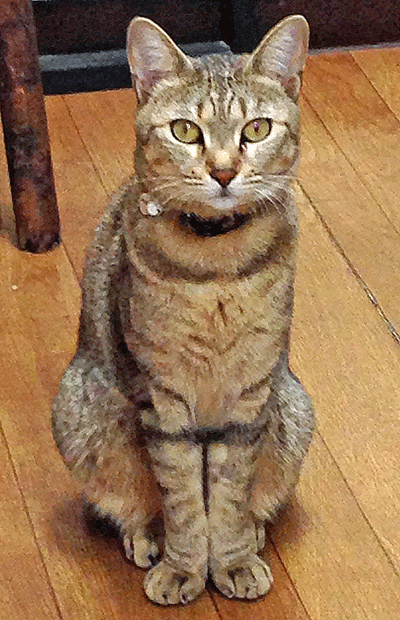 a0001354_232810.gif
