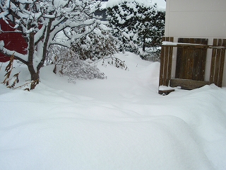 e0004756_21384318.jpg