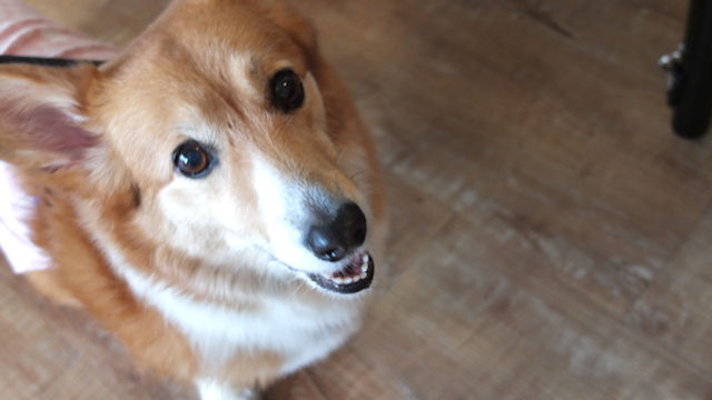 f0096666_1584266.jpg