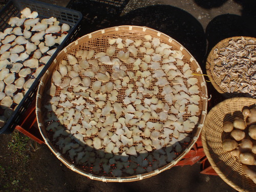 f0224772_0331536.jpg