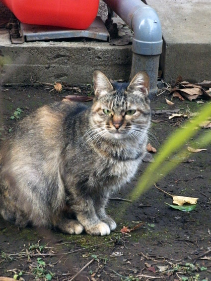 e0112077_12472744.jpg