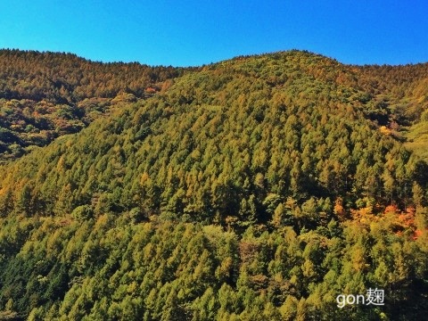 c0059278_15393226.jpg