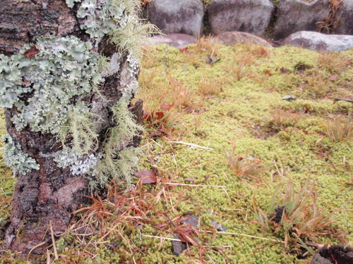 f0223480_21282172.jpg