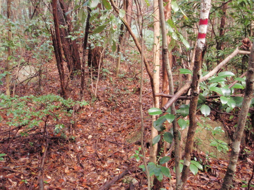 f0223480_21285665.jpg