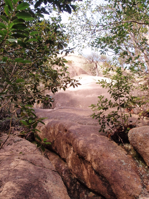 f0223480_21301786.jpg