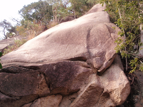 f0223480_21302338.jpg