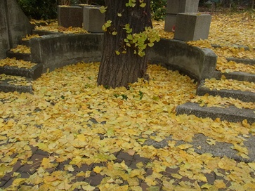 f0148183_0381769.jpg