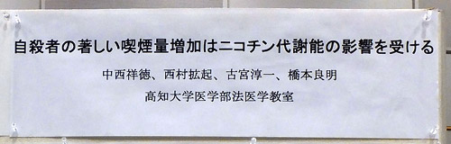 c0001491_1214095.jpg