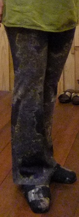 d0194191_166563.jpg