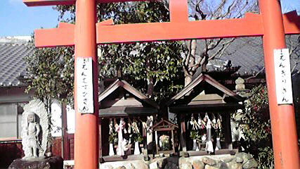 b0044296_857615.jpg