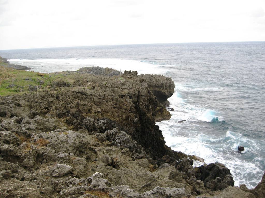 a0188897_226286.jpg