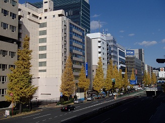 c0187298_2335941.jpg