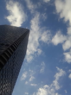 b0021101_840062.jpg