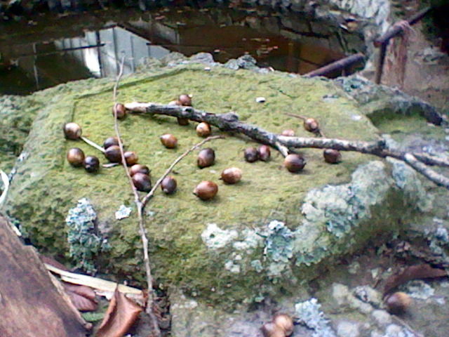 f0236201_86129.jpg