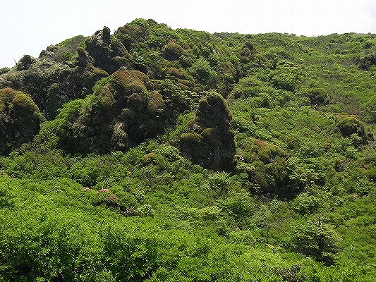 f0187402_2203631.jpg