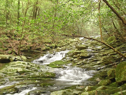 f0187402_2221572.jpg
