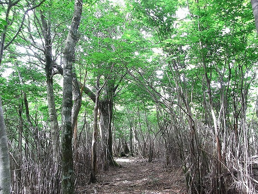 f0187402_2223599.jpg