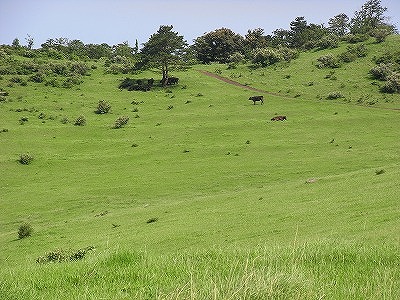 f0187402_222424.jpg