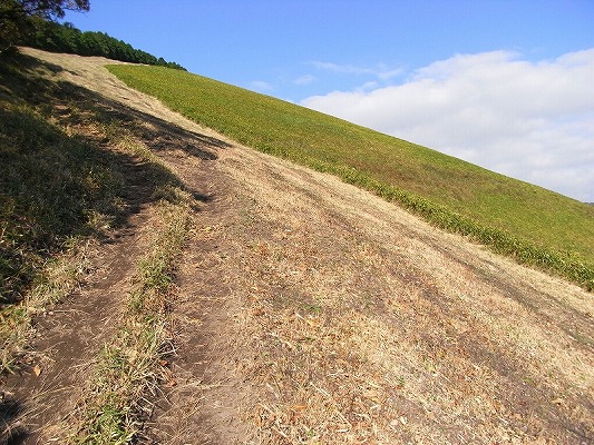 f0187402_2231421.jpg