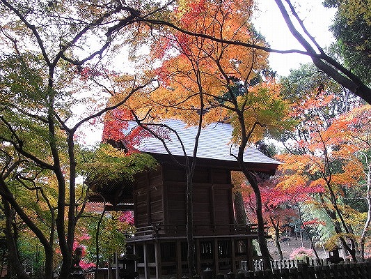 f0187402_2232984.jpg