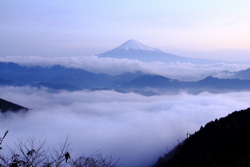 a0188405_9491915.jpg