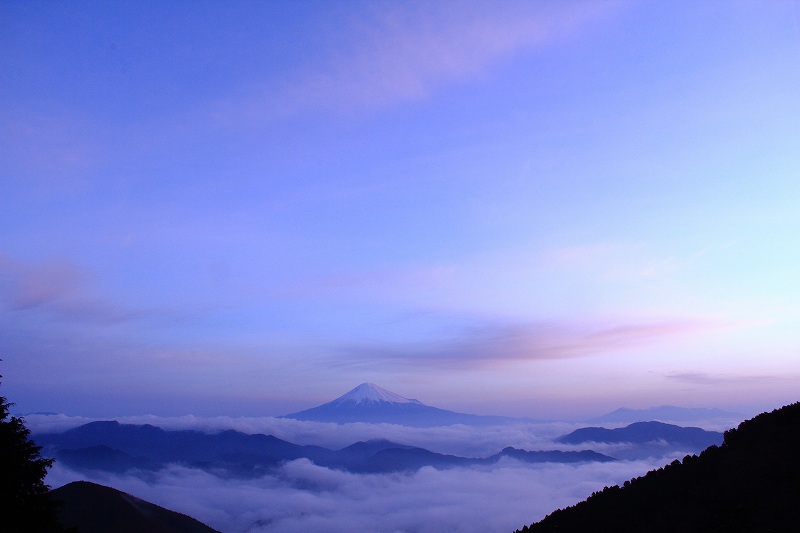 a0188405_9524457.jpg