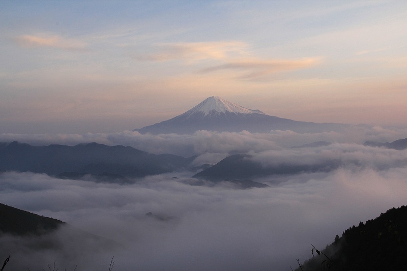 a0188405_9533155.jpg