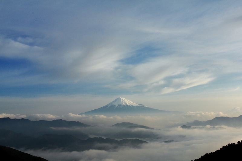 a0188405_955798.jpg