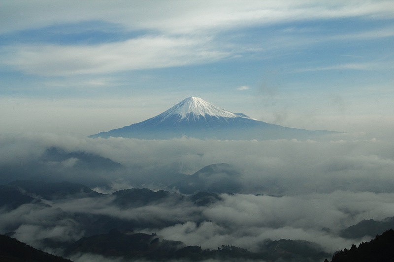 a0188405_9565834.jpg