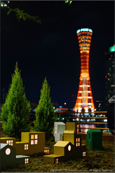 e0137705_2084552.jpg