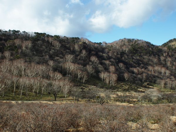 b0244811_1348540.jpg