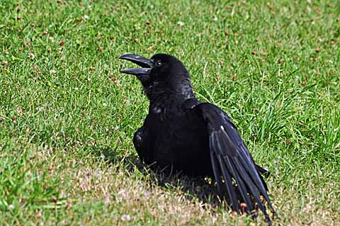 a0094015_918207.jpg