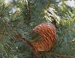 f0036716_001086.jpg