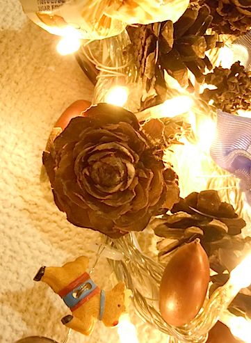 f0036716_2353288.jpg
