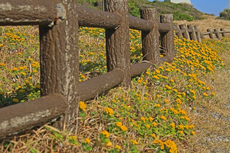 c0104227_2325583.jpg
