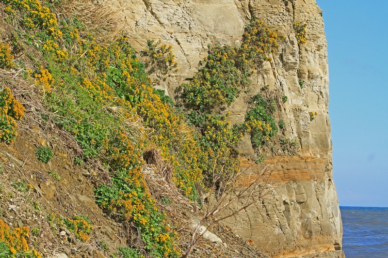 c0104227_2354237.jpg