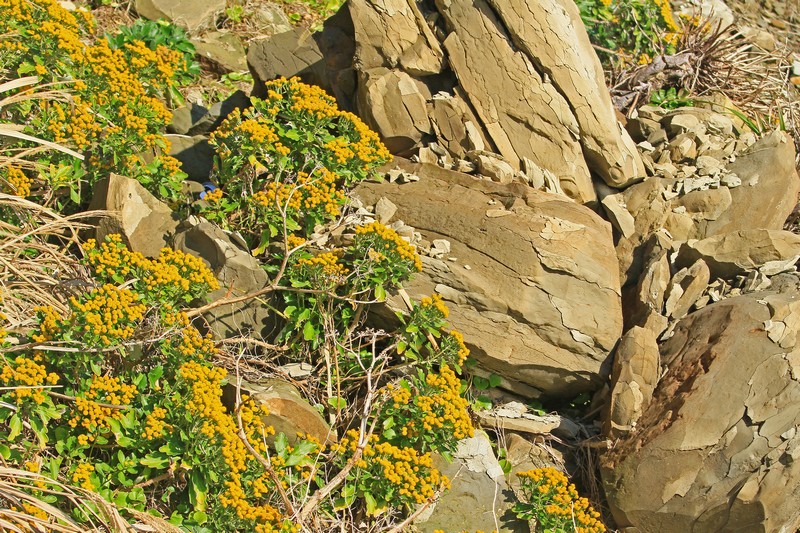 c0104227_23567.jpg
