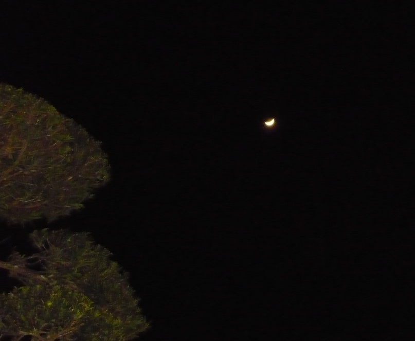 a0206332_8363549.jpg