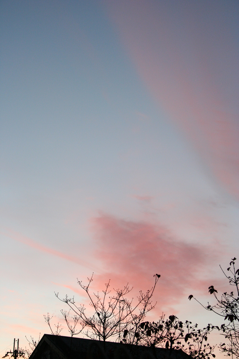 c0073633_118492.jpg