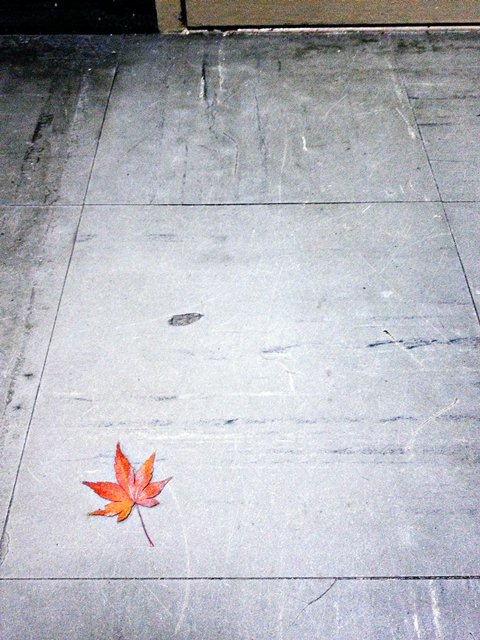 c0164234_1731893.jpg