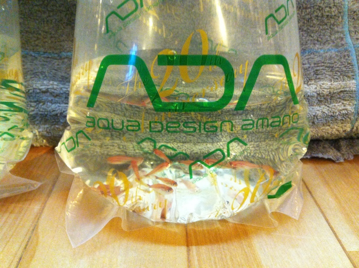 c0250835_13593.jpg