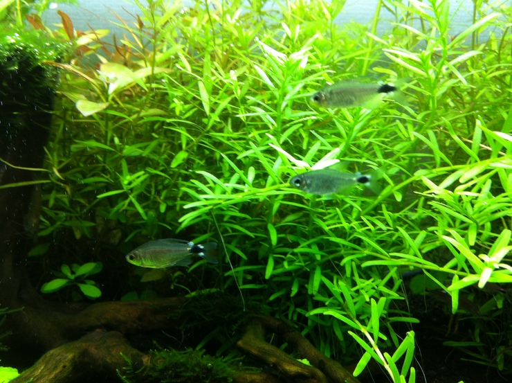c0250835_14561042.jpg