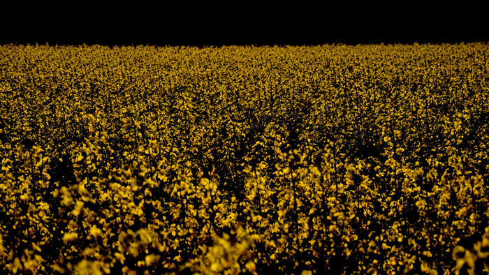 a0049639_1939246.jpg