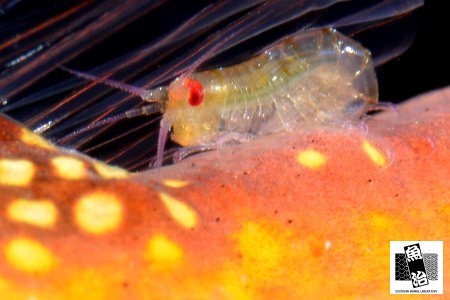 a0150039_14173771.jpg