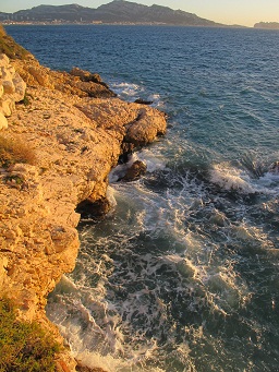 d0167041_5191192.jpg