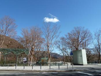 d0288144_1154436.jpg