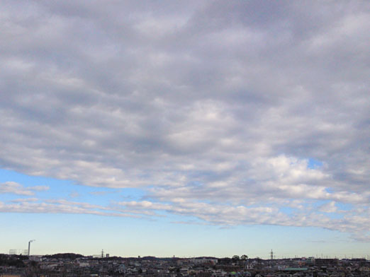 c0039153_2153453.jpg