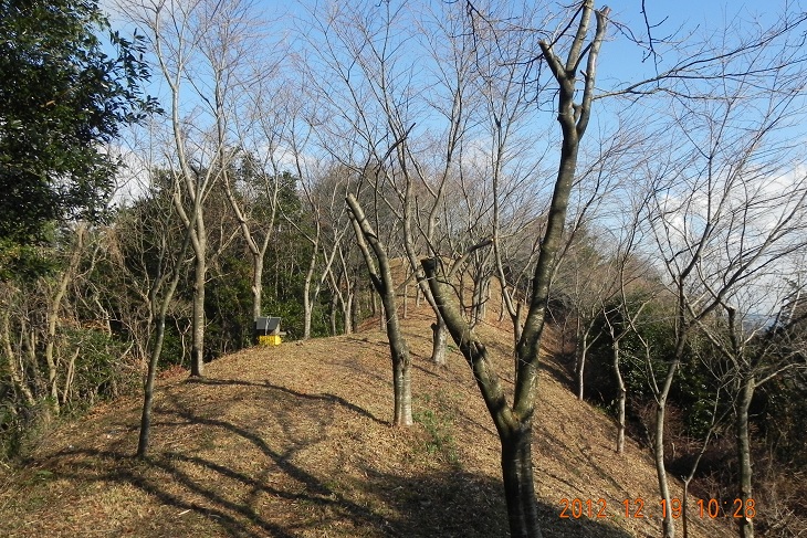 f0016066_22223339.jpg