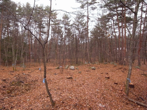 c0166668_1112375.jpg
